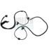 ABS-Sensor